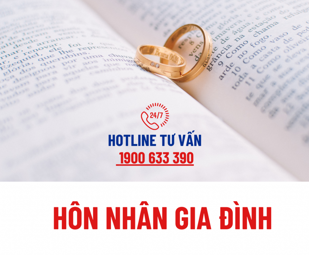 Tư vấn kết hôn, ly hôn; Tư vấn thừa kế, di chúc; thủ tục nhận con nuôi; giải quyết tranh chấp tài sản chung, quyền nuôi con, nghĩa vụ cấp dưỡng, thừa kế…